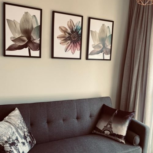 Luna Studios 6